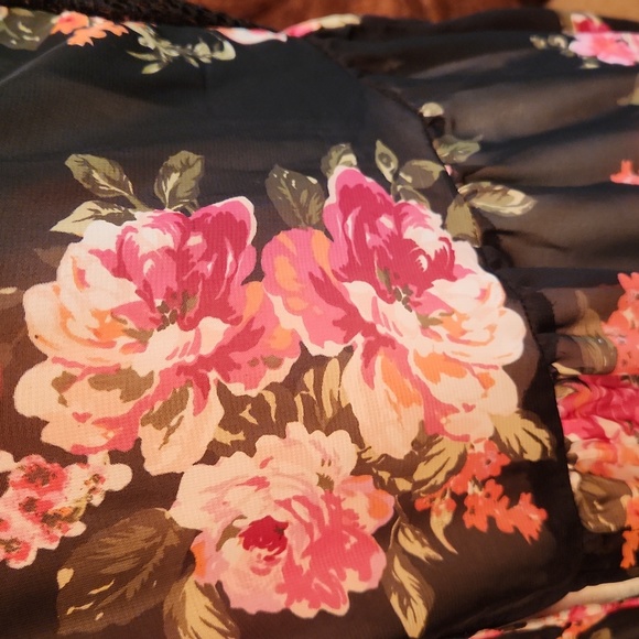 California Gypsy - Picture 5 of 6